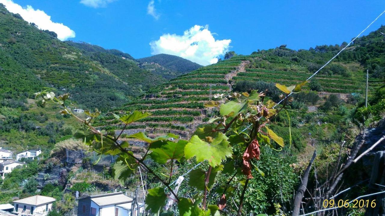 Case Vacanza Reggimonti Cinque Terre بوناسولا المظهر الخارجي الصورة