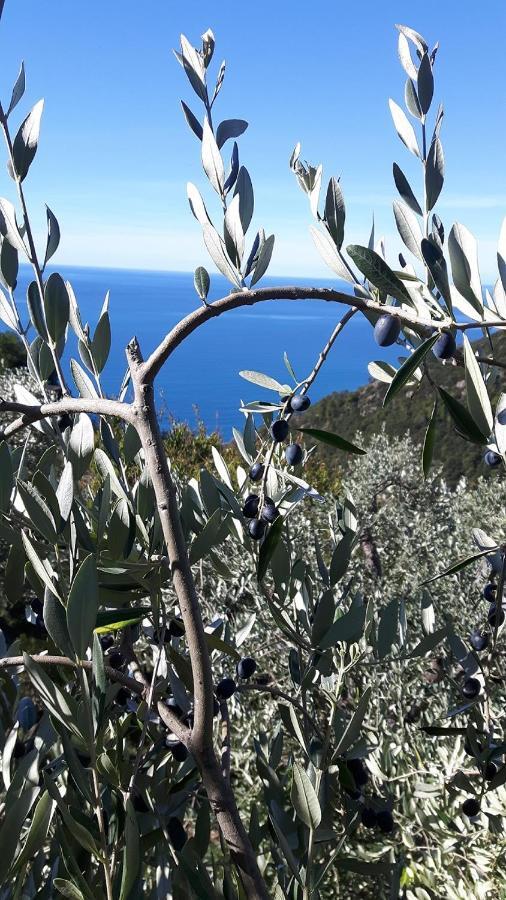 Case Vacanza Reggimonti Cinque Terre بوناسولا المظهر الخارجي الصورة